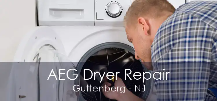 AEG Dryer Repair Guttenberg - NJ