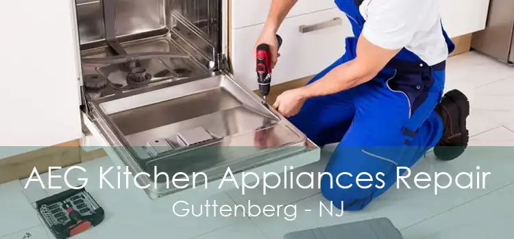 AEG Kitchen Appliances Repair Guttenberg - NJ