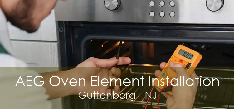 AEG Oven Element Installation Guttenberg - NJ