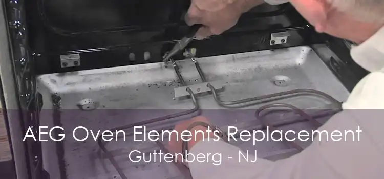 AEG Oven Elements Replacement Guttenberg - NJ