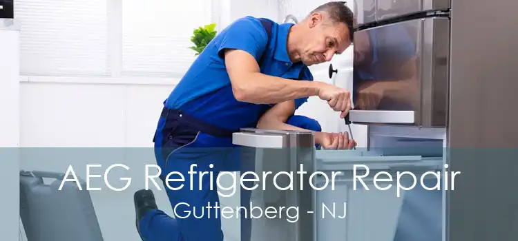 AEG Refrigerator Repair Guttenberg - NJ