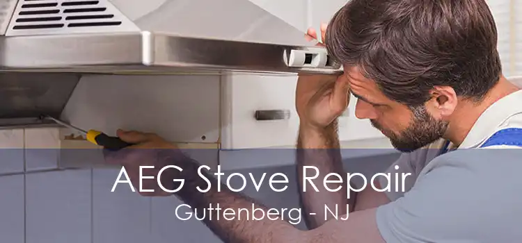 AEG Stove Repair Guttenberg - NJ