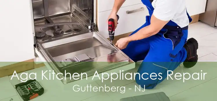 Aga Kitchen Appliances Repair Guttenberg - NJ