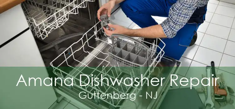 Amana Dishwasher Repair Guttenberg - NJ