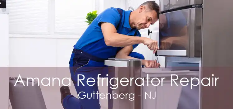 Amana Refrigerator Repair Guttenberg - NJ