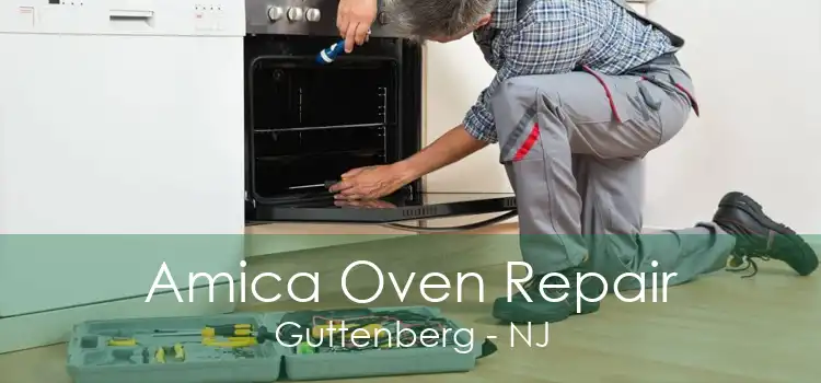 Amica Oven Repair Guttenberg - NJ