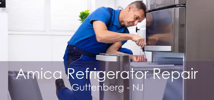 Amica Refrigerator Repair Guttenberg - NJ
