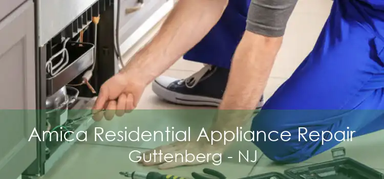 Amica Residential Appliance Repair Guttenberg - NJ