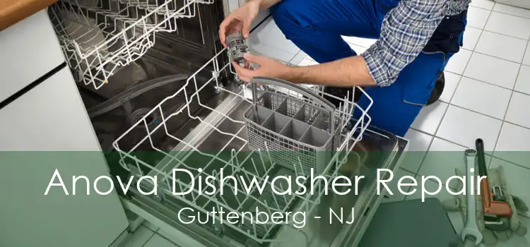 Anova Dishwasher Repair Guttenberg - NJ