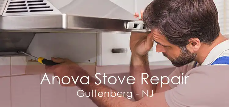 Anova Stove Repair Guttenberg - NJ