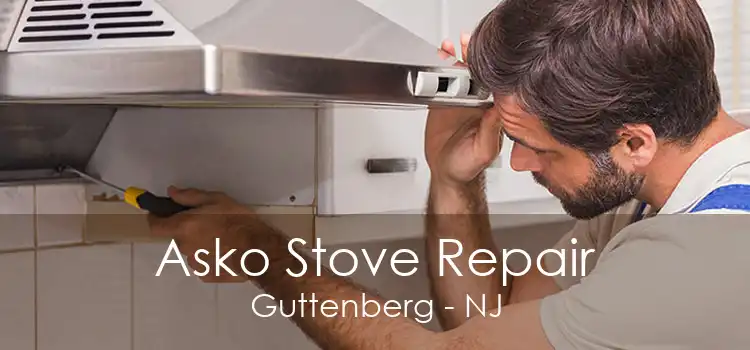 Asko Stove Repair Guttenberg - NJ
