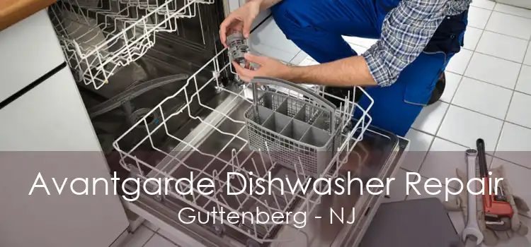 Avantgarde Dishwasher Repair Guttenberg - NJ