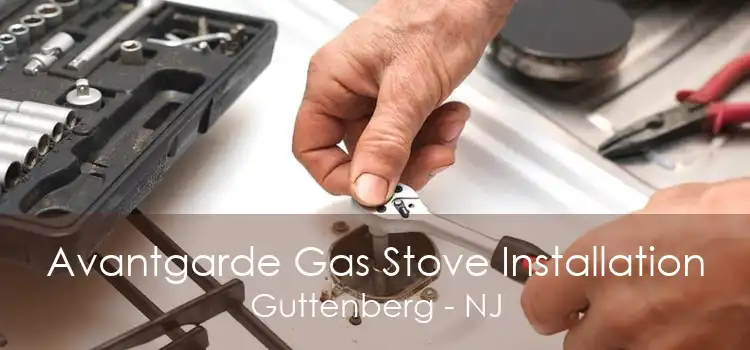 Avantgarde Gas Stove Installation Guttenberg - NJ