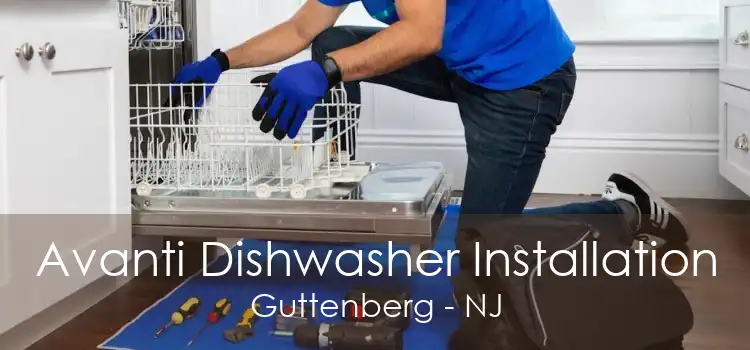 Avanti Dishwasher Installation Guttenberg - NJ