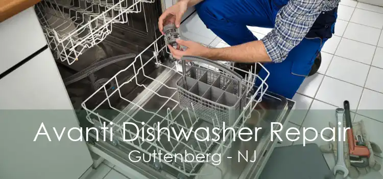 Avanti Dishwasher Repair Guttenberg - NJ
