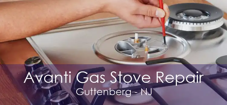 Avanti Gas Stove Repair Guttenberg - NJ
