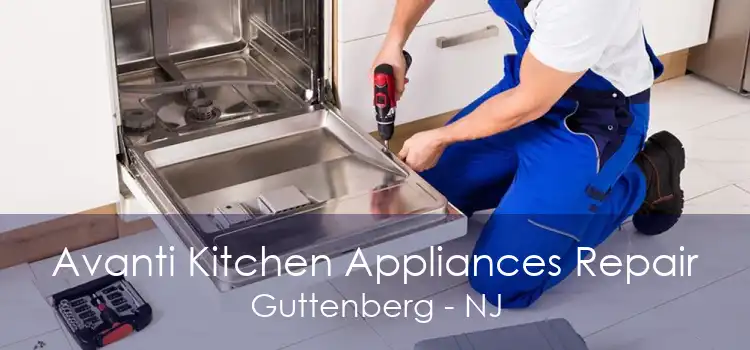 Avanti Kitchen Appliances Repair Guttenberg - NJ