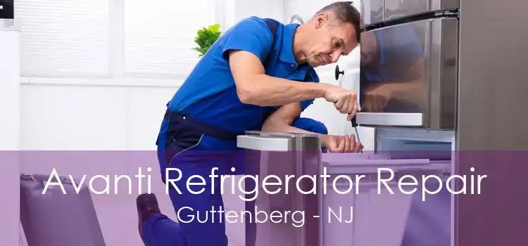 Avanti Refrigerator Repair Guttenberg - NJ