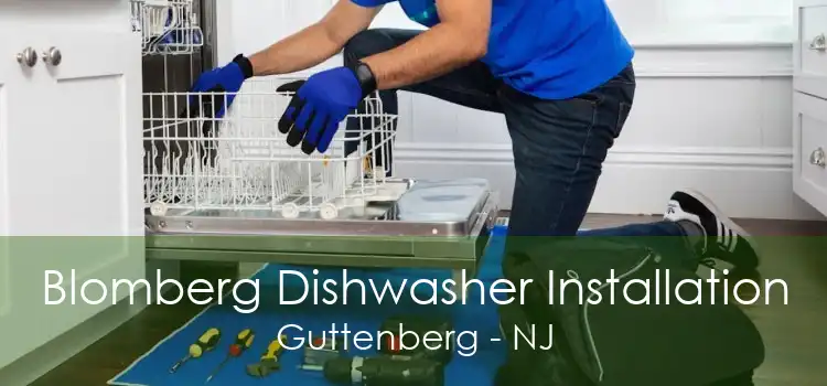 Blomberg Dishwasher Installation Guttenberg - NJ