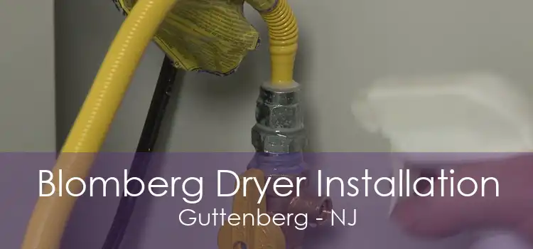 Blomberg Dryer Installation Guttenberg - NJ