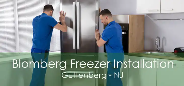 Blomberg Freezer Installation Guttenberg - NJ