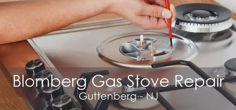 Blomberg Gas Stove Repair Guttenberg - NJ