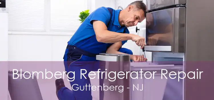 Blomberg Refrigerator Repair Guttenberg - NJ