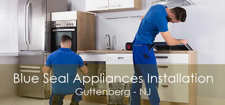 Blue Seal Appliances Installation Guttenberg - NJ