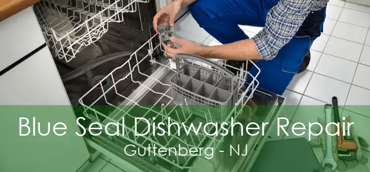 Blue Seal Dishwasher Repair Guttenberg - NJ