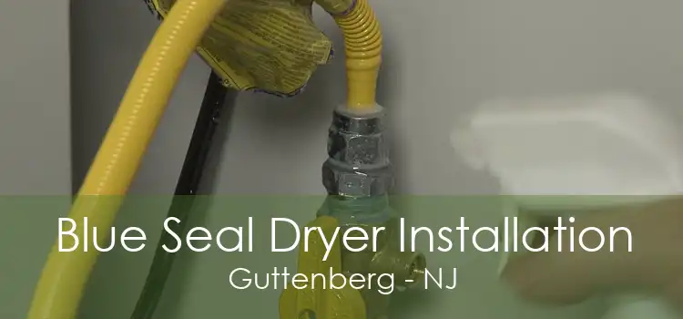 Blue Seal Dryer Installation Guttenberg - NJ