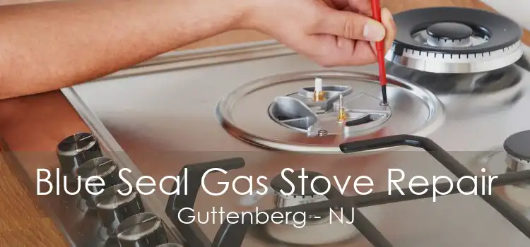 Blue Seal Gas Stove Repair Guttenberg - NJ