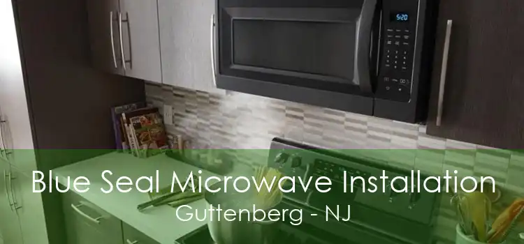 Blue Seal Microwave Installation Guttenberg - NJ