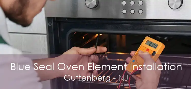 Blue Seal Oven Element Installation Guttenberg - NJ