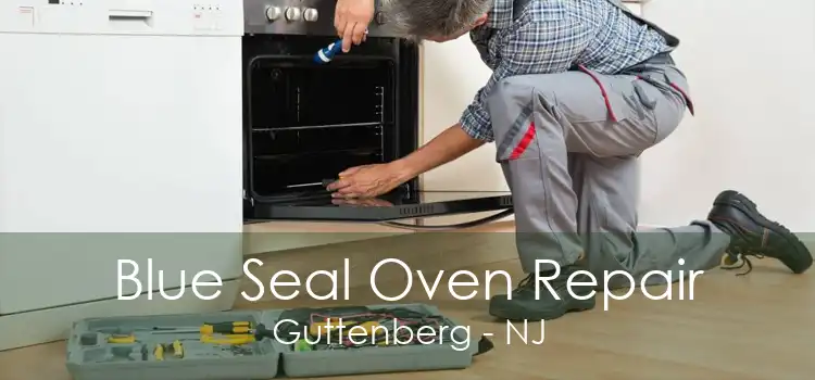 Blue Seal Oven Repair Guttenberg - NJ