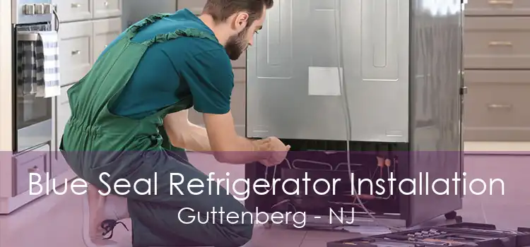 Blue Seal Refrigerator Installation Guttenberg - NJ