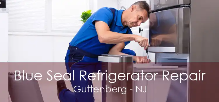 Blue Seal Refrigerator Repair Guttenberg - NJ