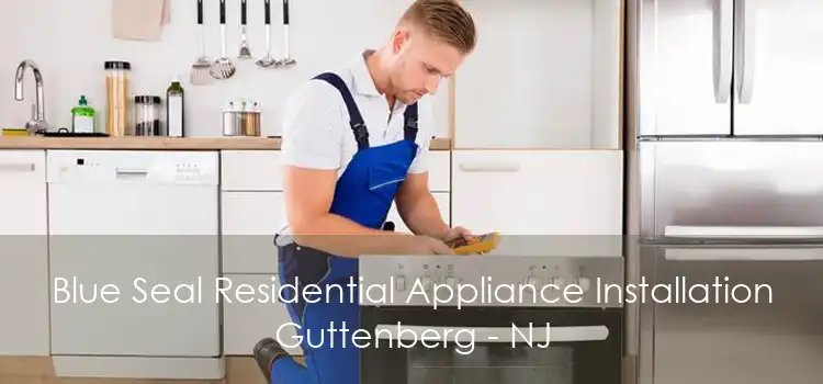 Blue Seal Residential Appliance Installation Guttenberg - NJ