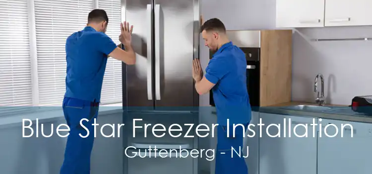 Blue Star Freezer Installation Guttenberg - NJ