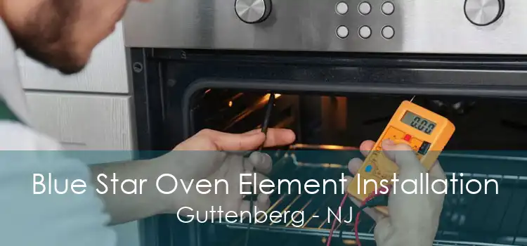 Blue Star Oven Element Installation Guttenberg - NJ