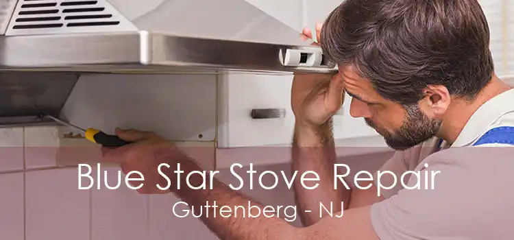 Blue Star Stove Repair Guttenberg - NJ