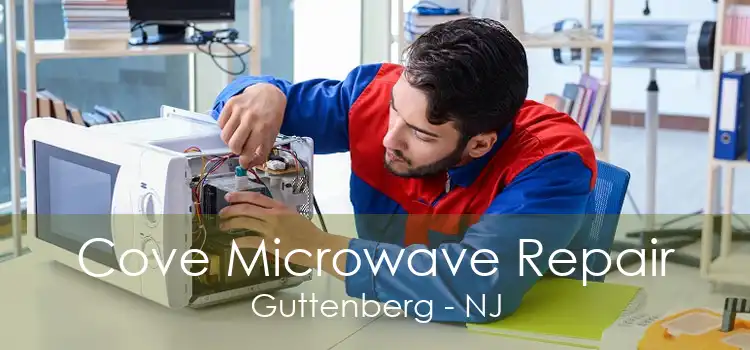 Cove Microwave Repair Guttenberg - NJ