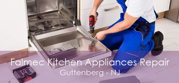 Falmec Kitchen Appliances Repair Guttenberg - NJ
