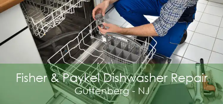 Fisher & Paykel Dishwasher Repair Guttenberg - NJ