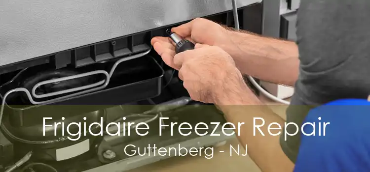 Frigidaire Freezer Repair Guttenberg - NJ