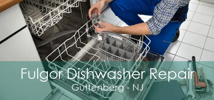 Fulgor Dishwasher Repair Guttenberg - NJ