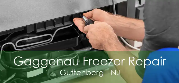 Gaggenau Freezer Repair Guttenberg - NJ