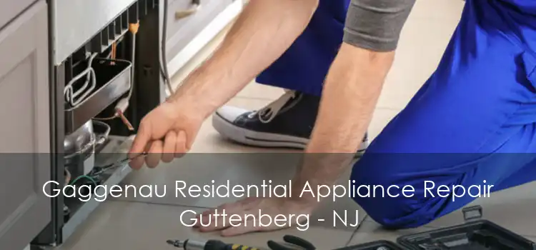 Gaggenau Residential Appliance Repair Guttenberg - NJ
