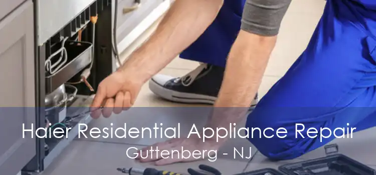 Haier Residential Appliance Repair Guttenberg - NJ
