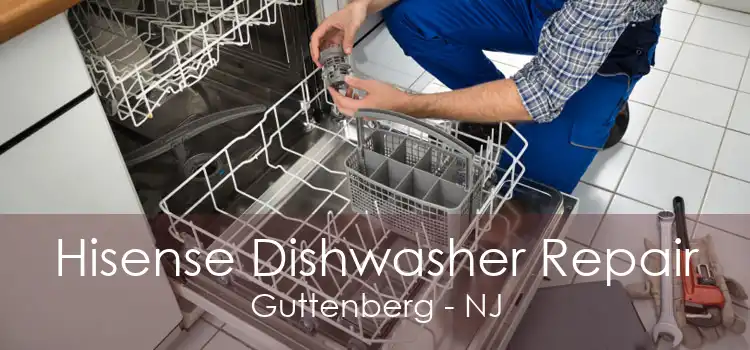 Hisense Dishwasher Repair Guttenberg - NJ