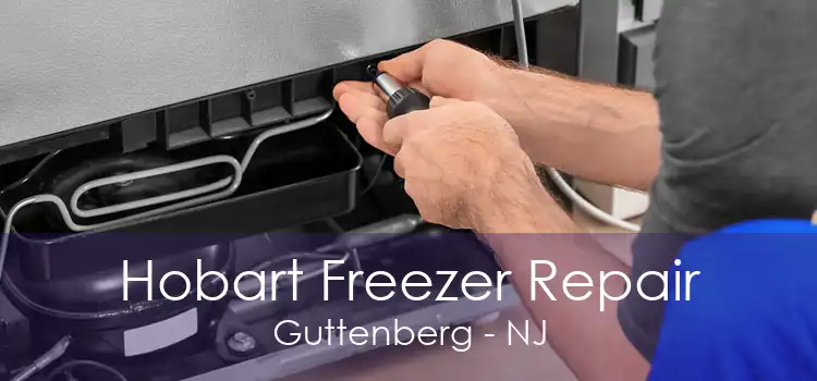 Hobart Freezer Repair Guttenberg - NJ